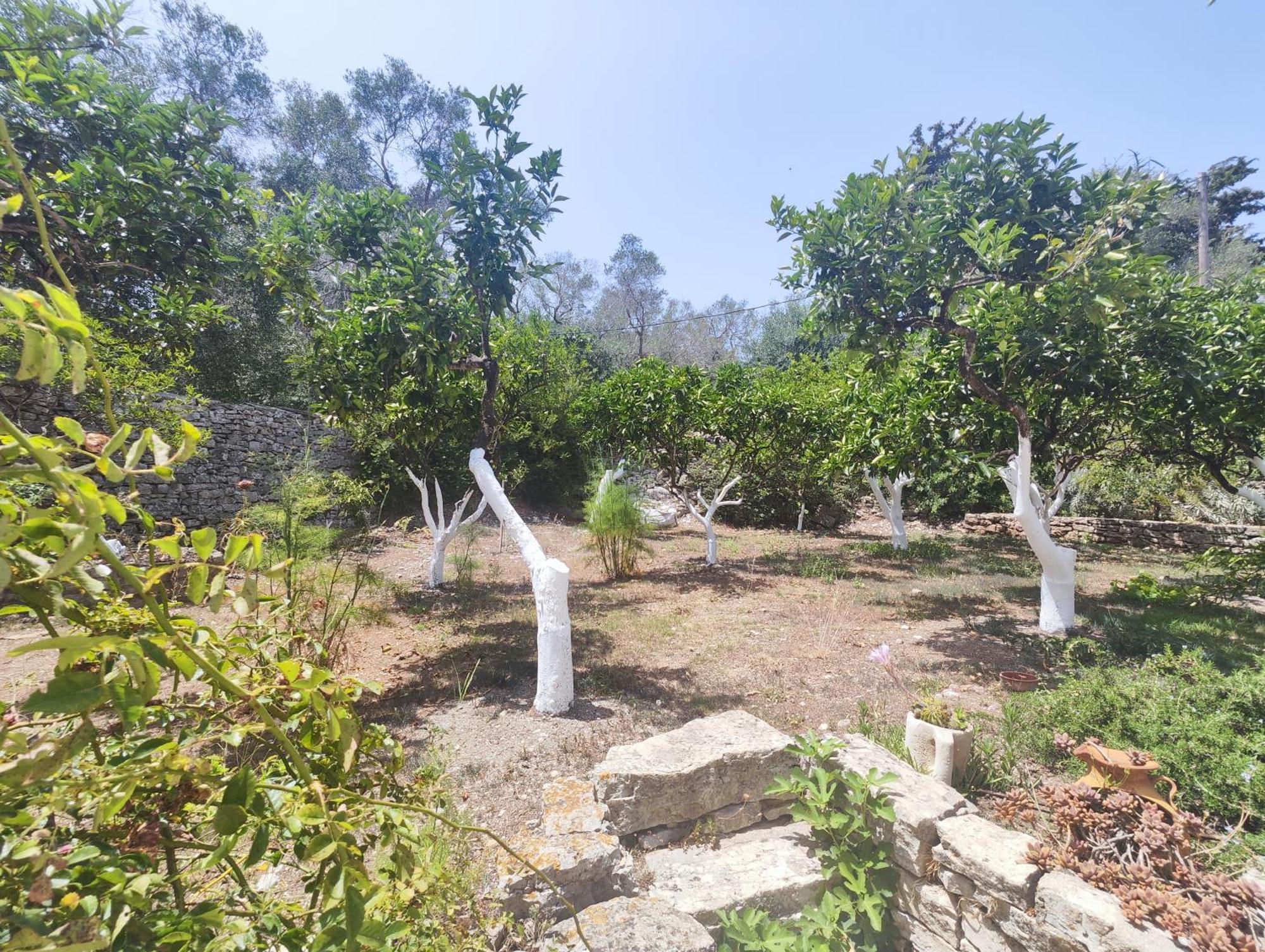 Rania'S Cottage Lakka  Bagian luar foto